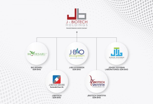 Corporate Structure - Transforming Bioeconomy